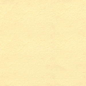 /Cyclone-Team/gramps/raw/branch/geps/gep-018-evidence-style/images/webstuff/Web_Mainz_Mid.png