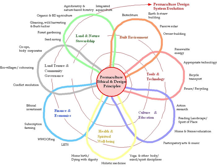 permaculture-flower