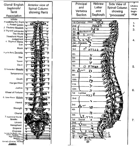 spine_divinity.cleaned