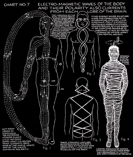 polarity-therapy-v1b2c07lg