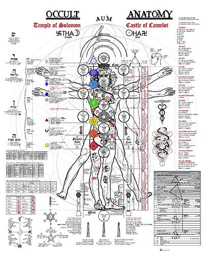 occult_anatomy.cleaned