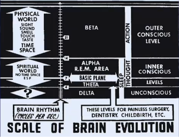 brain_waves.cleaned