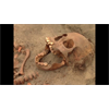 Archaeologists in Huanchaco uncovered the skeletons of 227 children in what is believed to be the discovery of the world's largest child sacrifice site.
